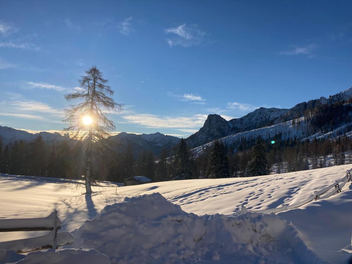 Renoviertes Apartment Mit Terrasse An Der Piste Mit Kostenlosen Wifi Carezza al Lago Exterior foto